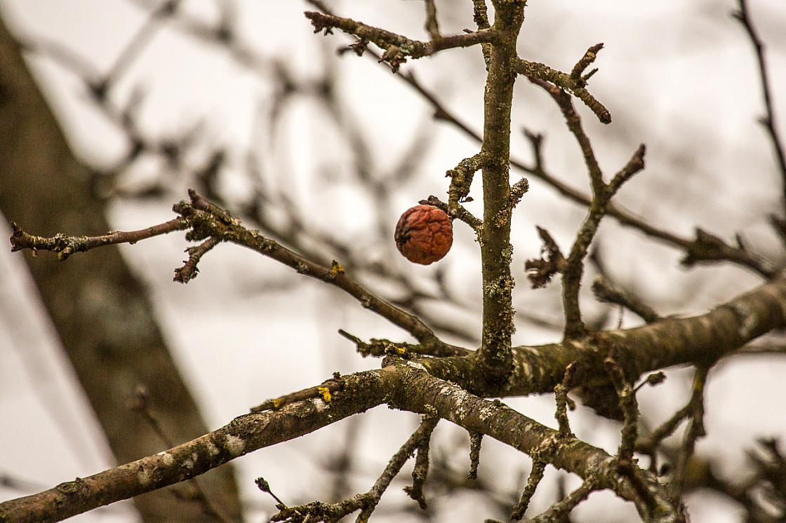 20150122094626 83904