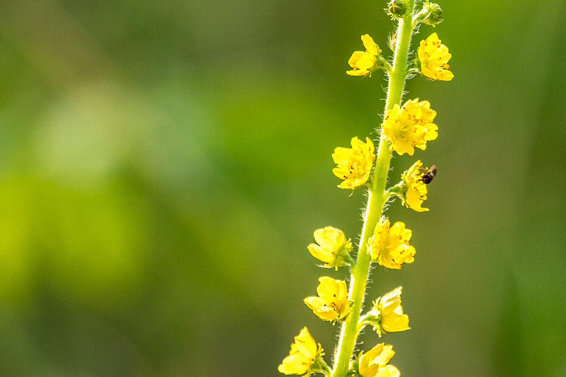 20150707072639 98774