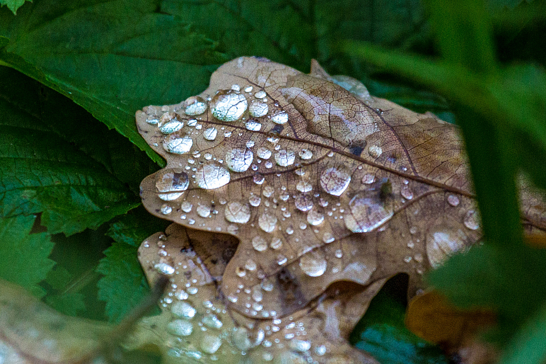 20151018172600 100376