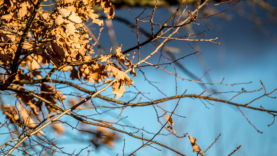 20151118101249 103519