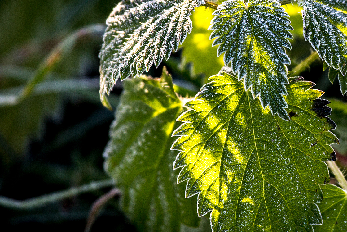 20151121095137 103661