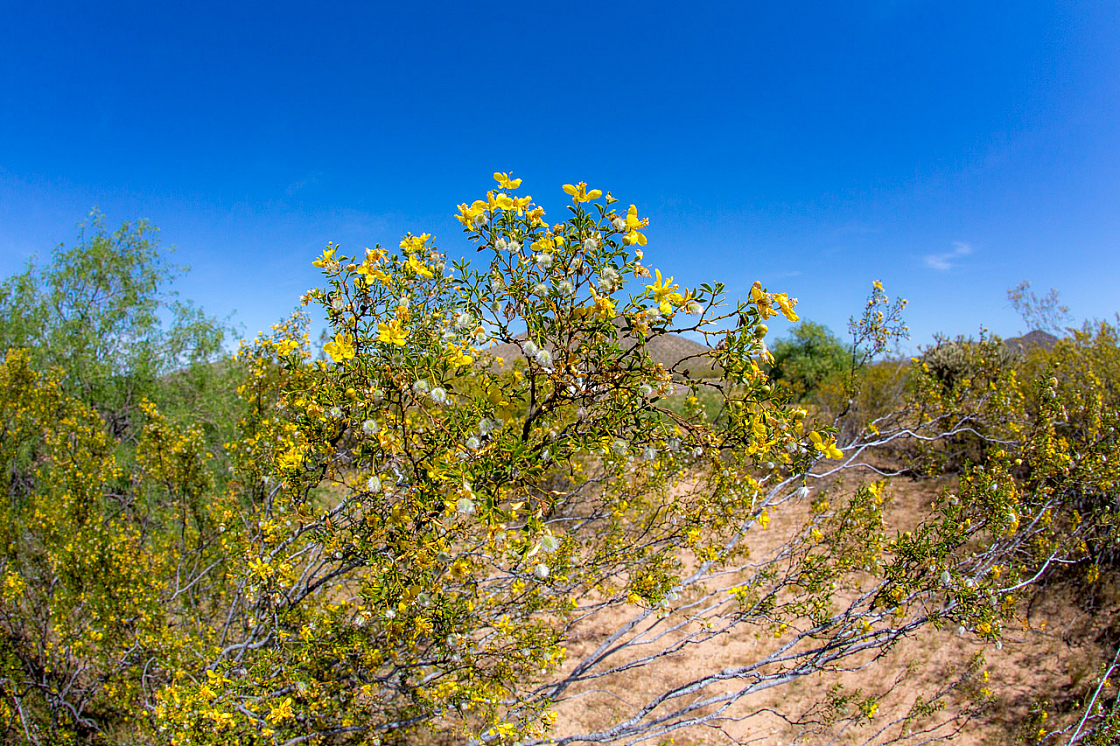 20150331112125 90332