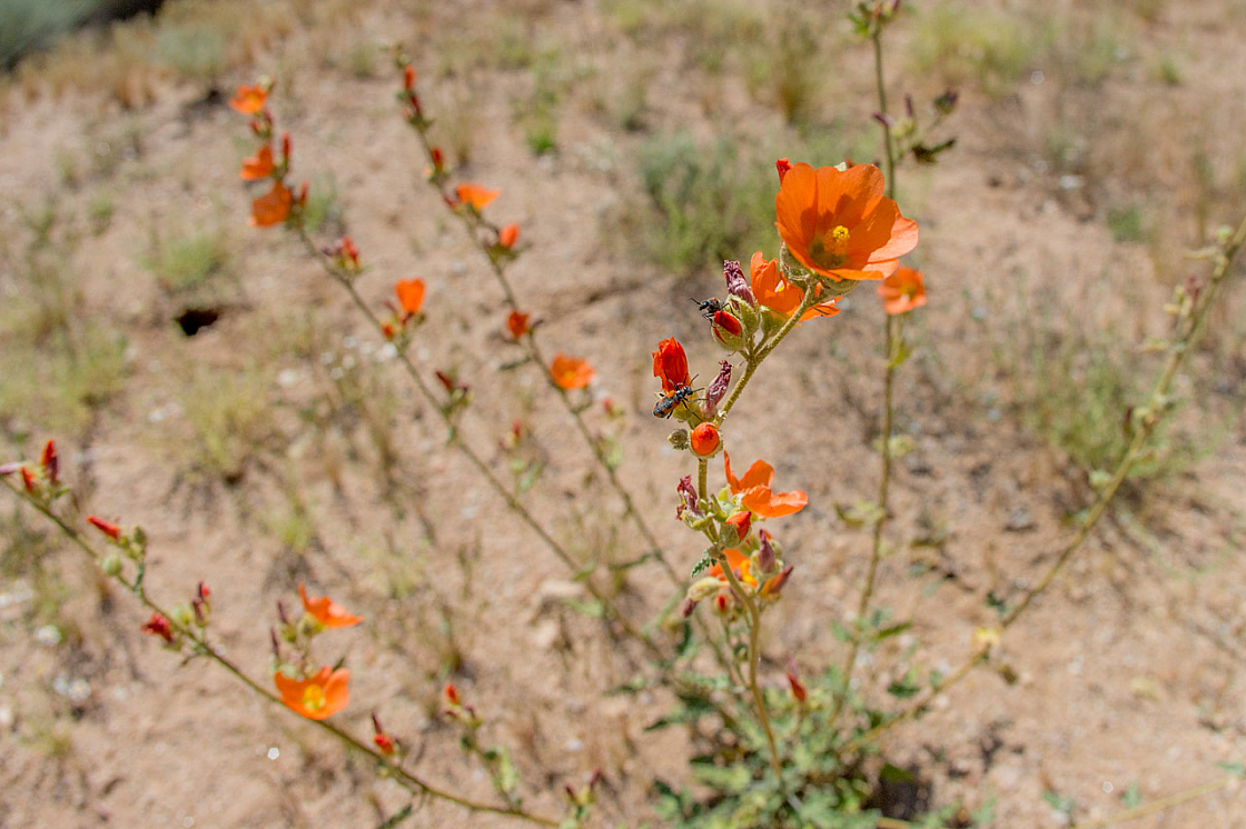 20150331112146 90341