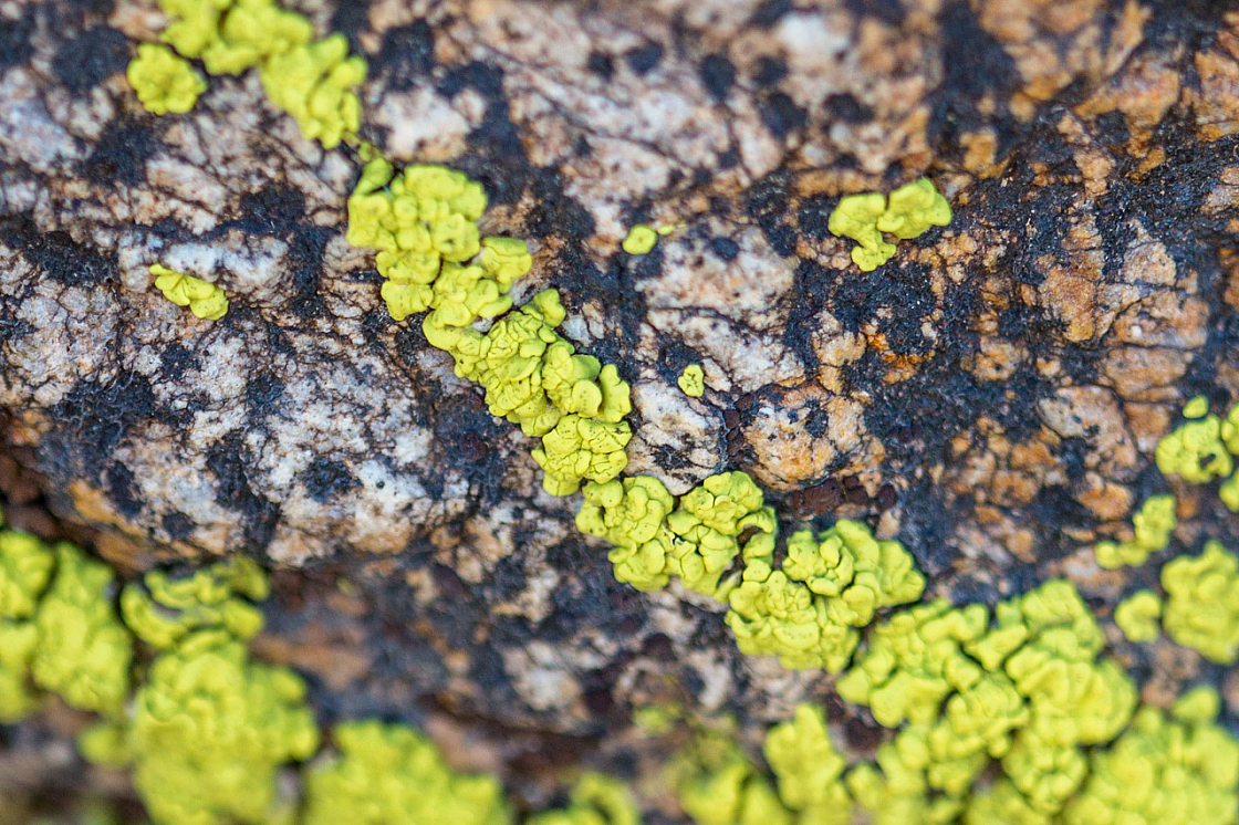 20150415174824 93715