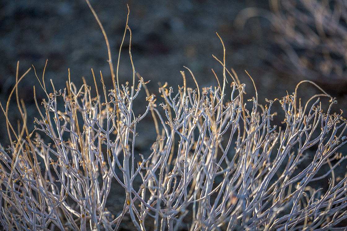 20150415182021 93882