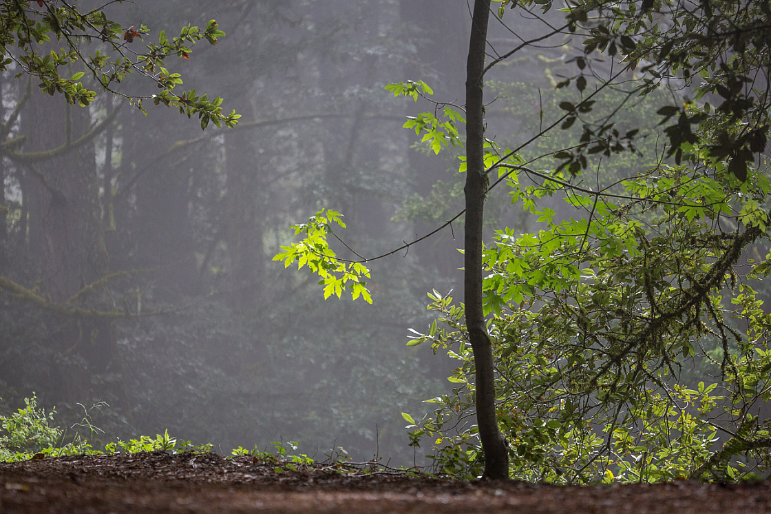 20150423112327 97004