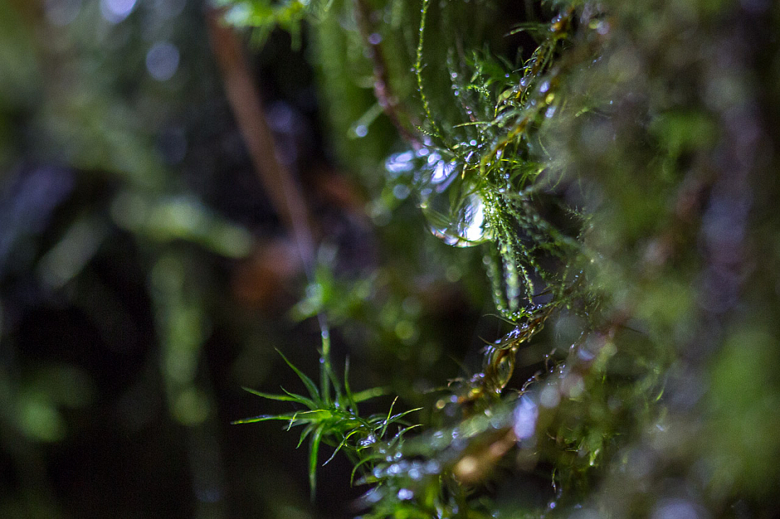 20150423112446 97020