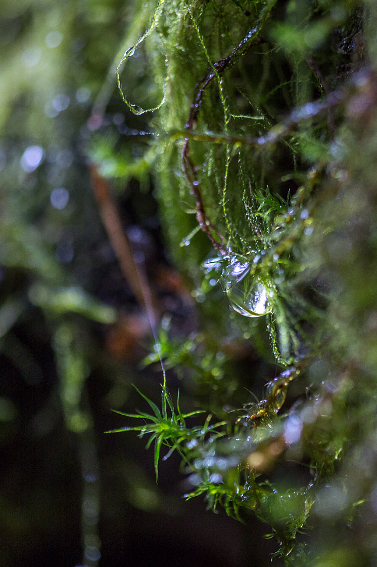 20150423112446 97021