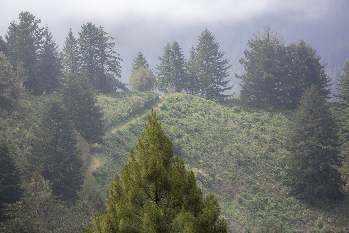 20150423112638 97052