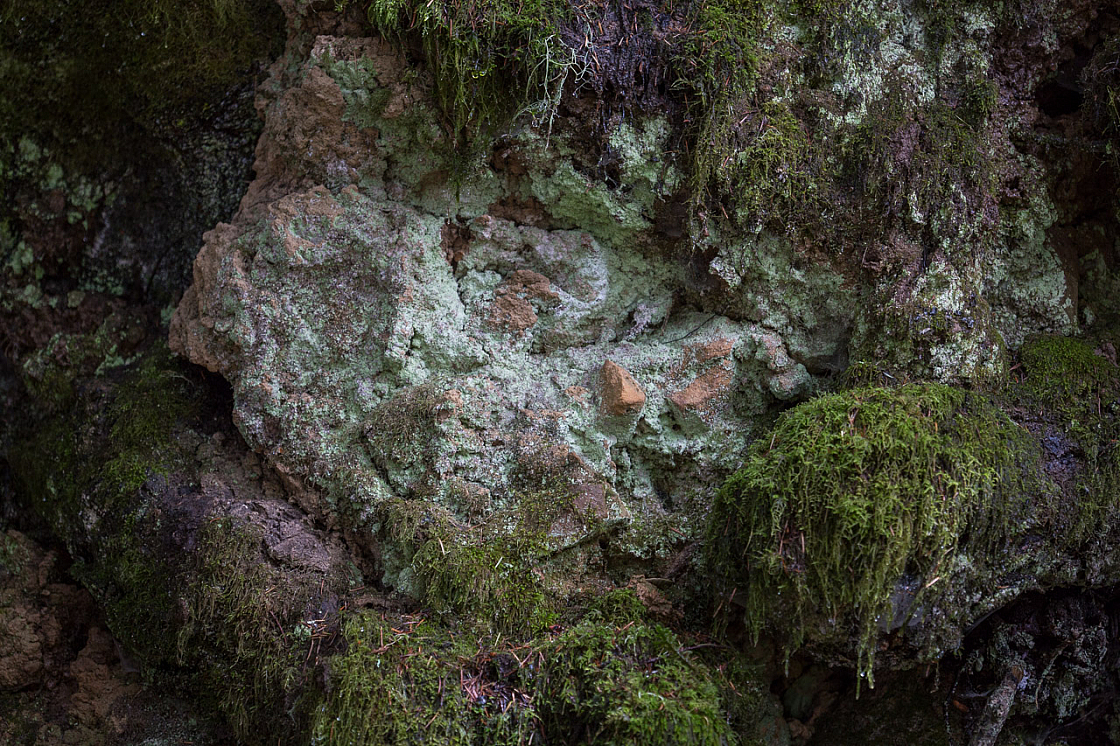 20150423112715 97056