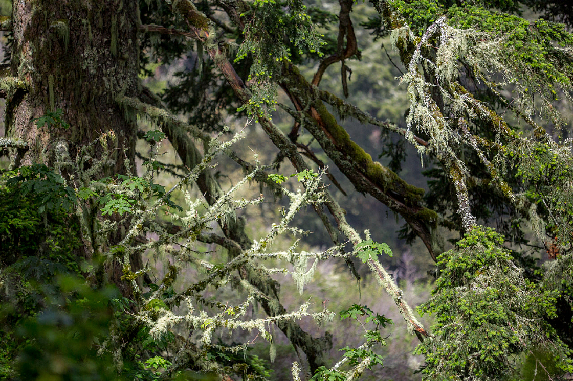 20150423113034 97087