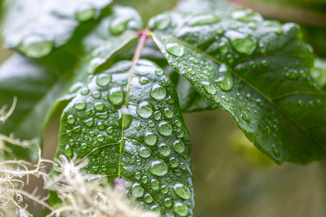 20150423122645 97123