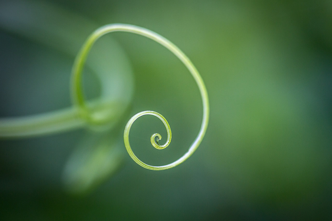 20150423123139 97201