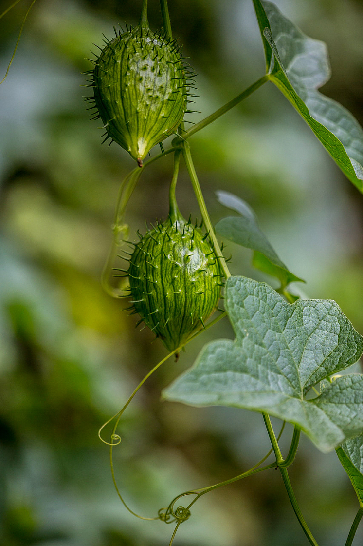 20150423123209 97208