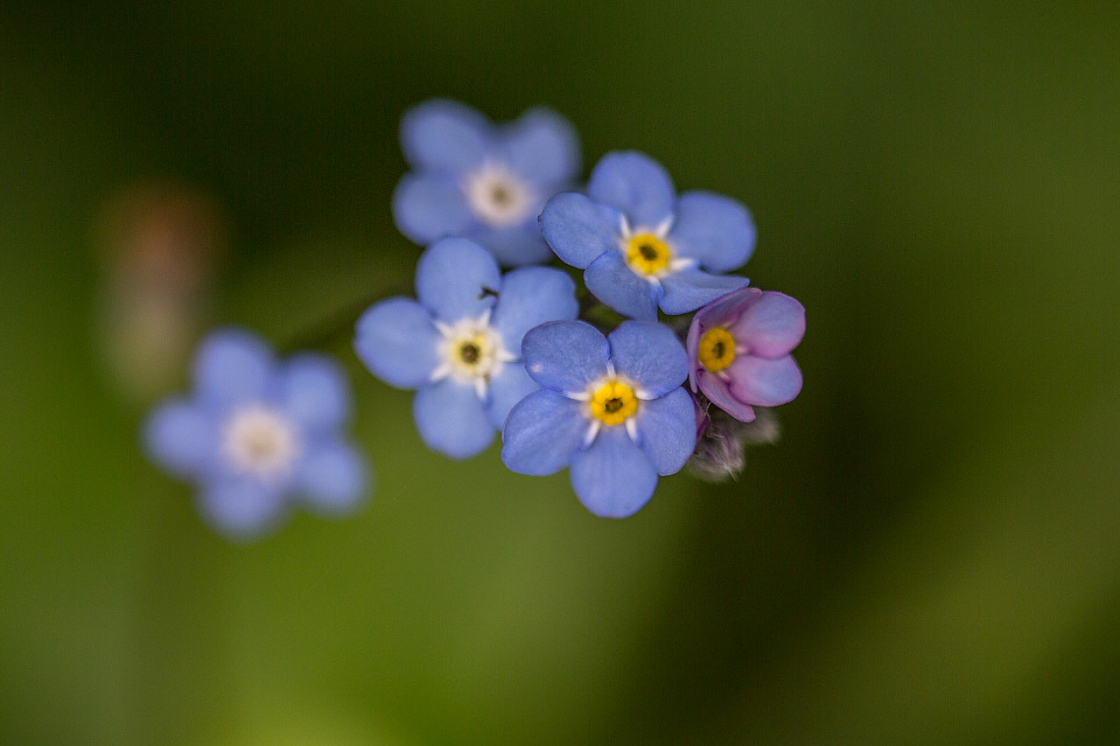 20150423123441 97259