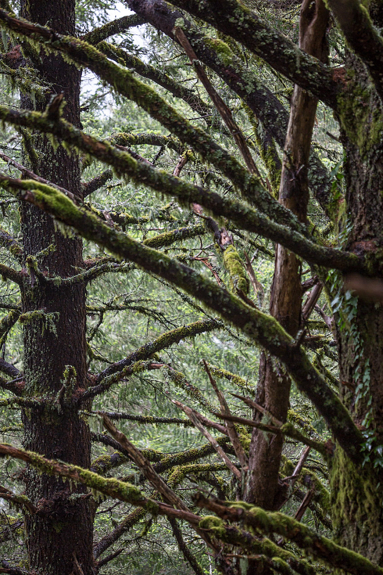 20150423123804 97322