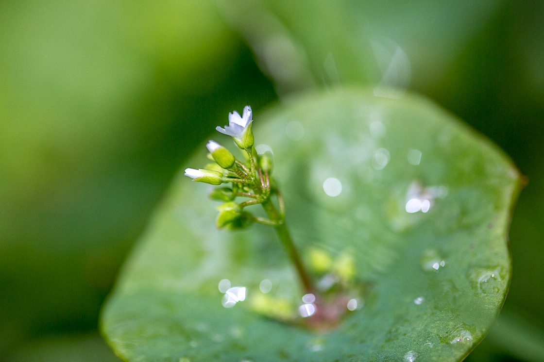 20150423125003 97422