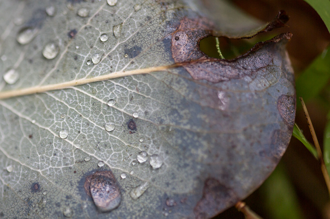 20150423125559 97437