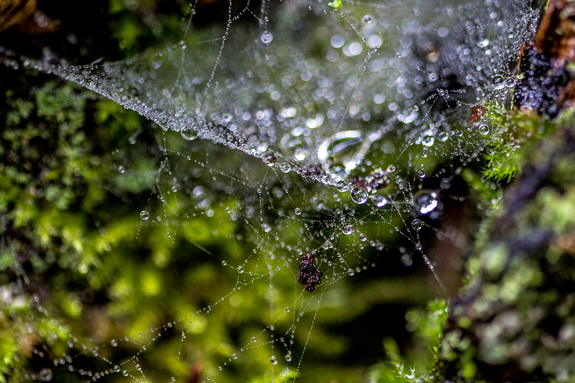 20150423130826 97534