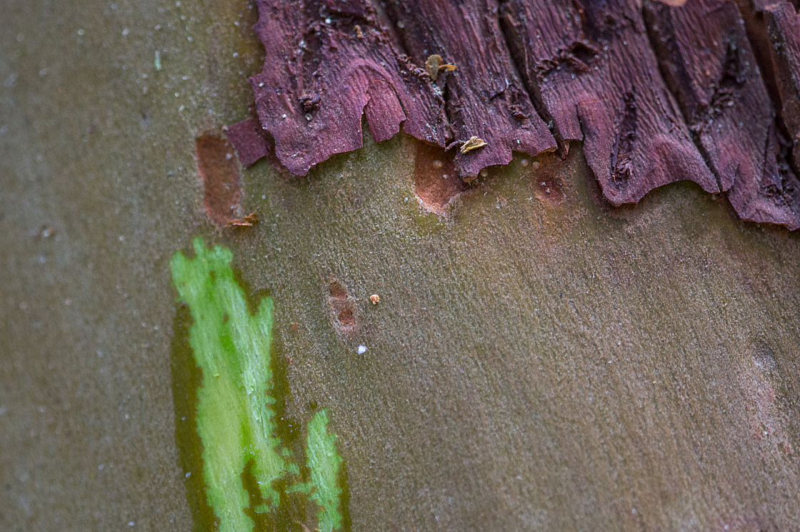 20150423132637 97567