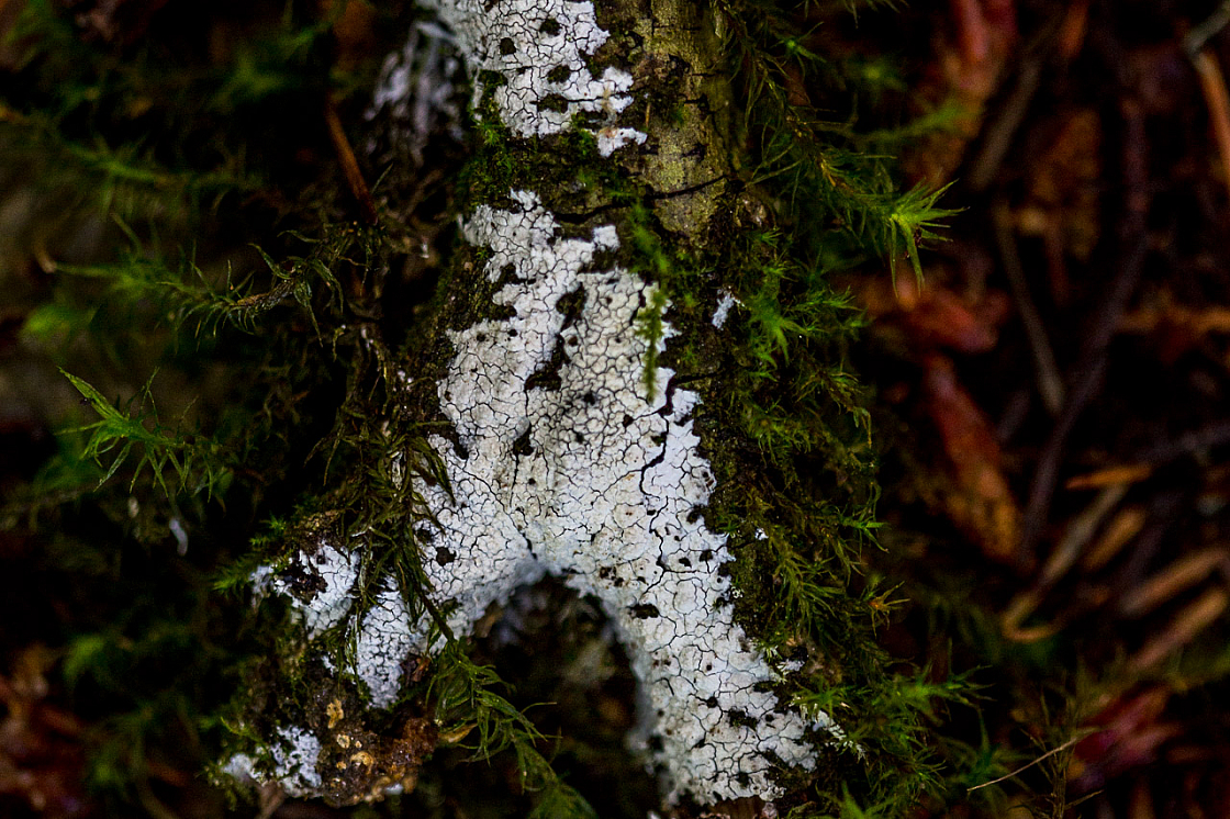 20150423133145 97604