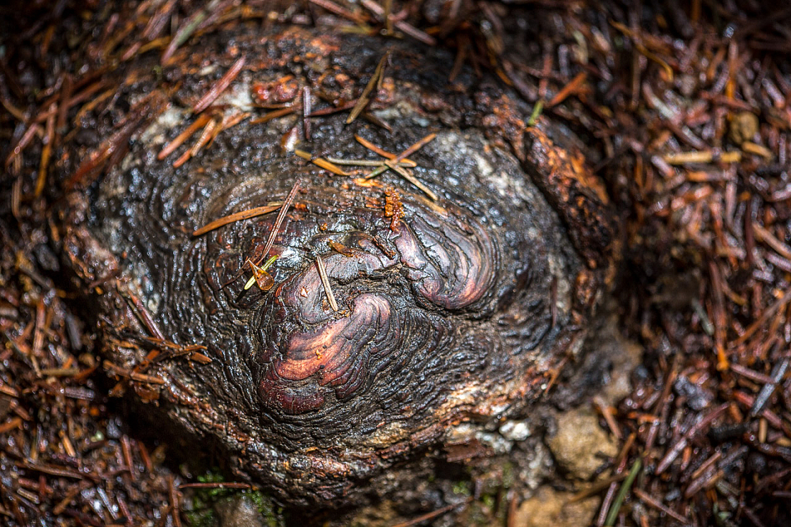 20150423133540 97640