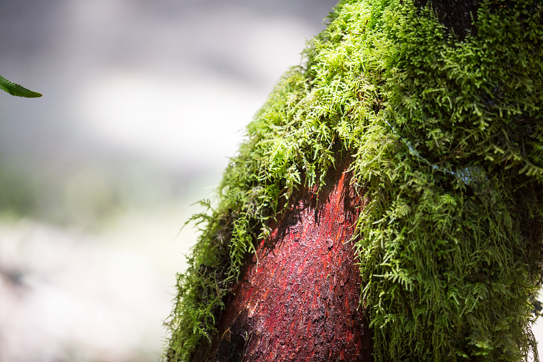 20150423133738 97665