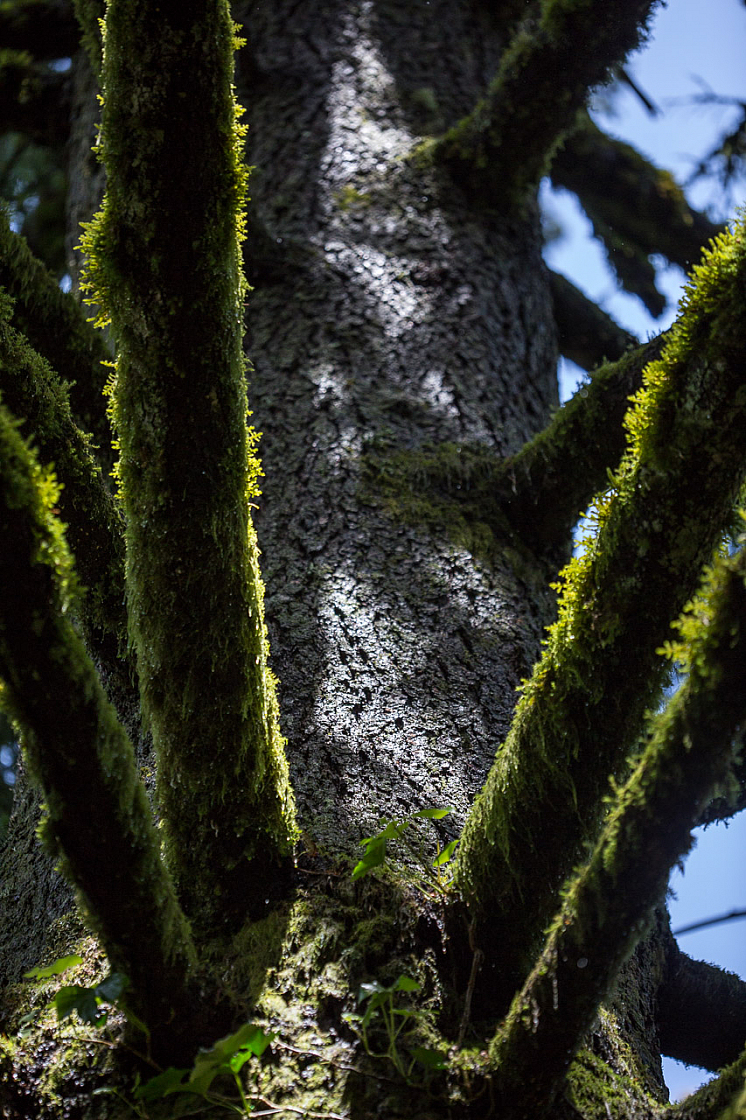 20150423134337 97726