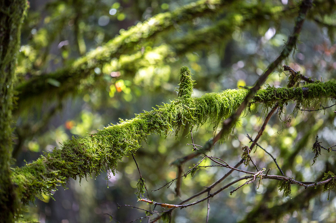 20150423134535 97738