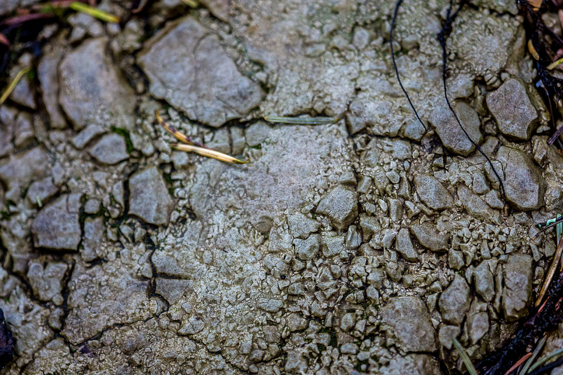20150423134914 97767