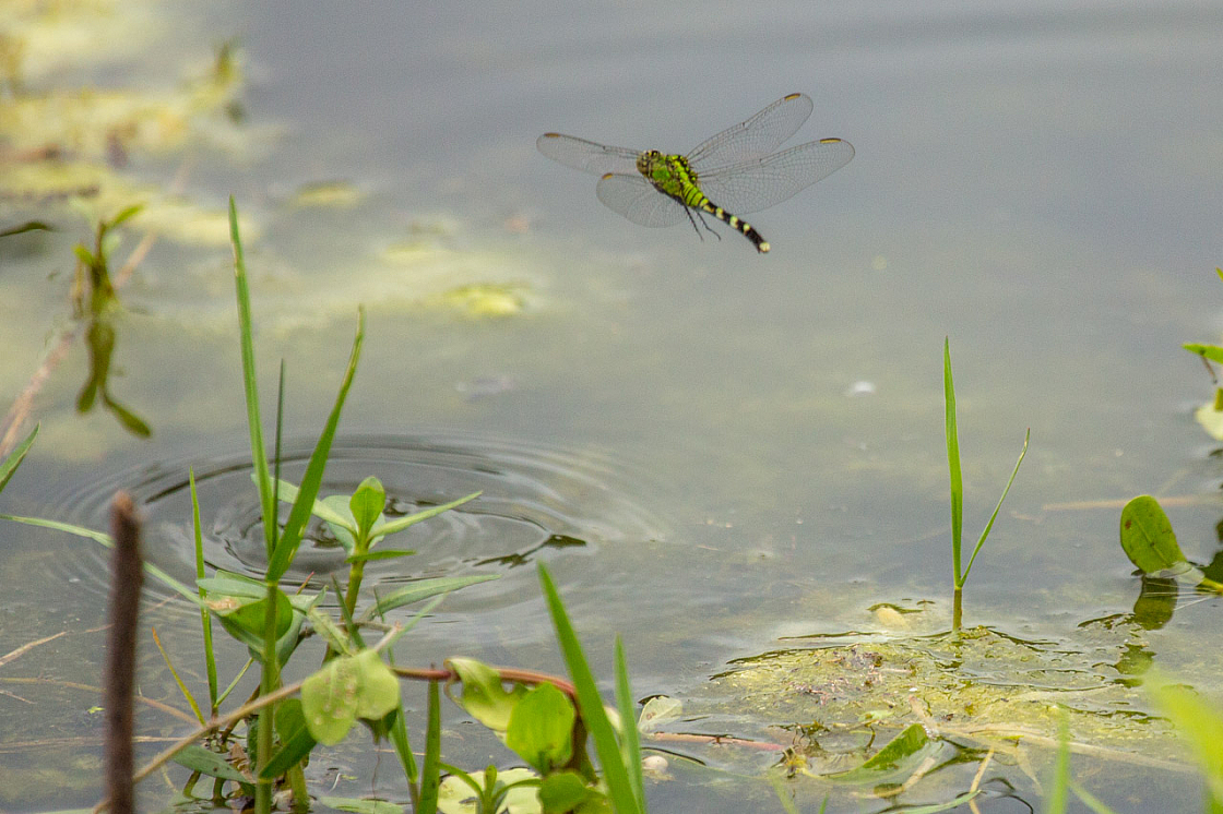 20150323150501 87487