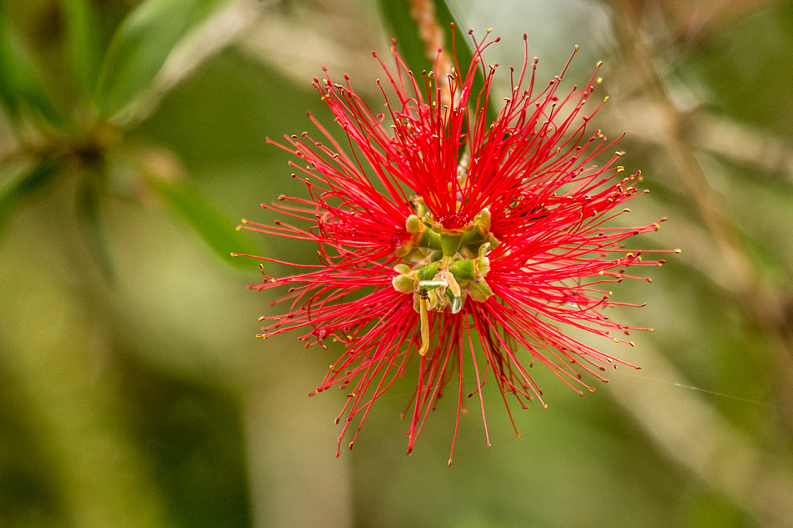 20150323150700 87495