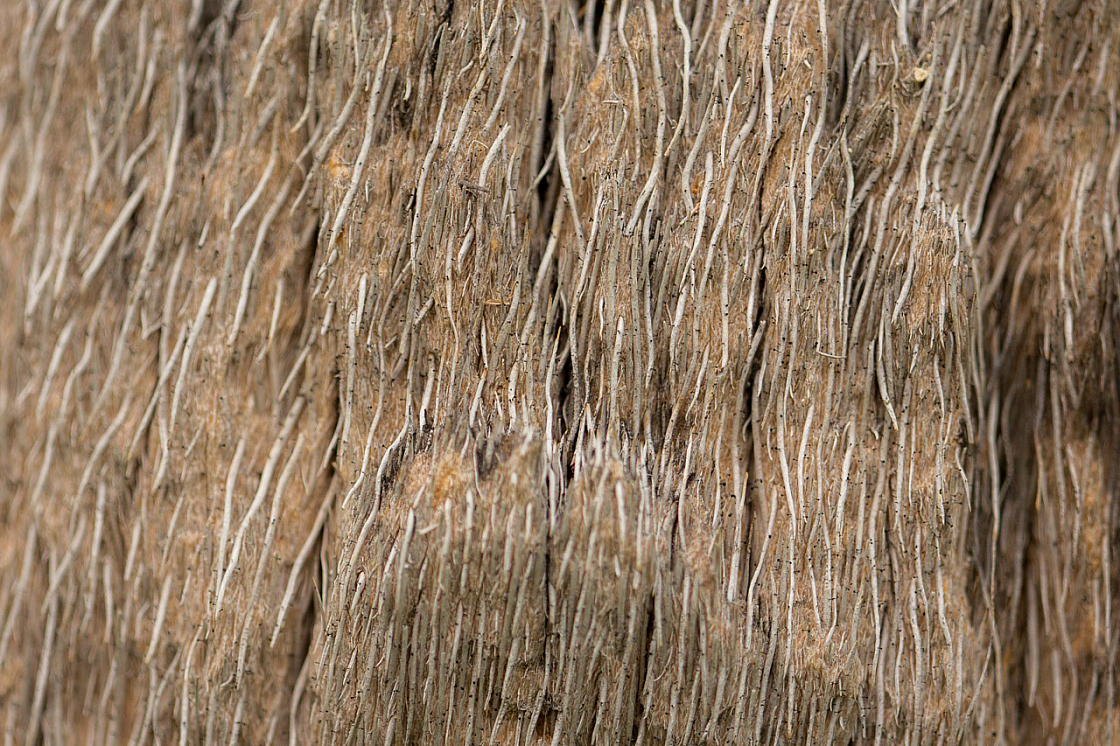 20150323152801 87644