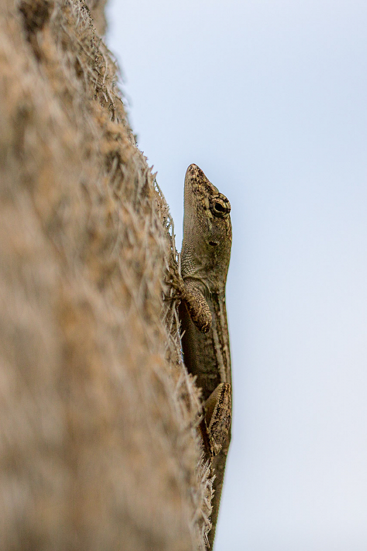 20150323152839 87656