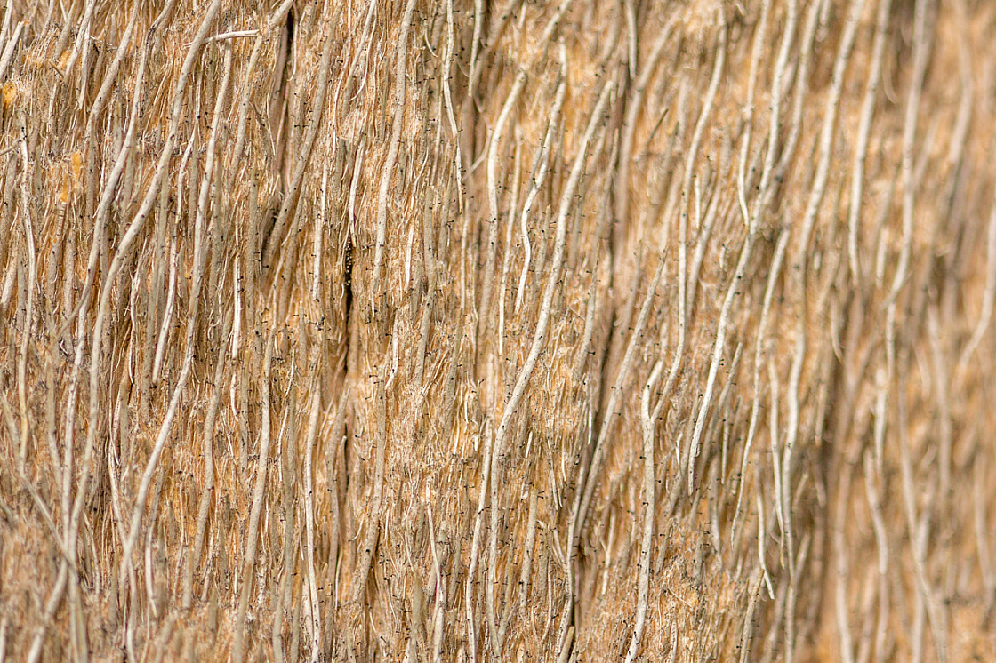 20150323152910 87664
