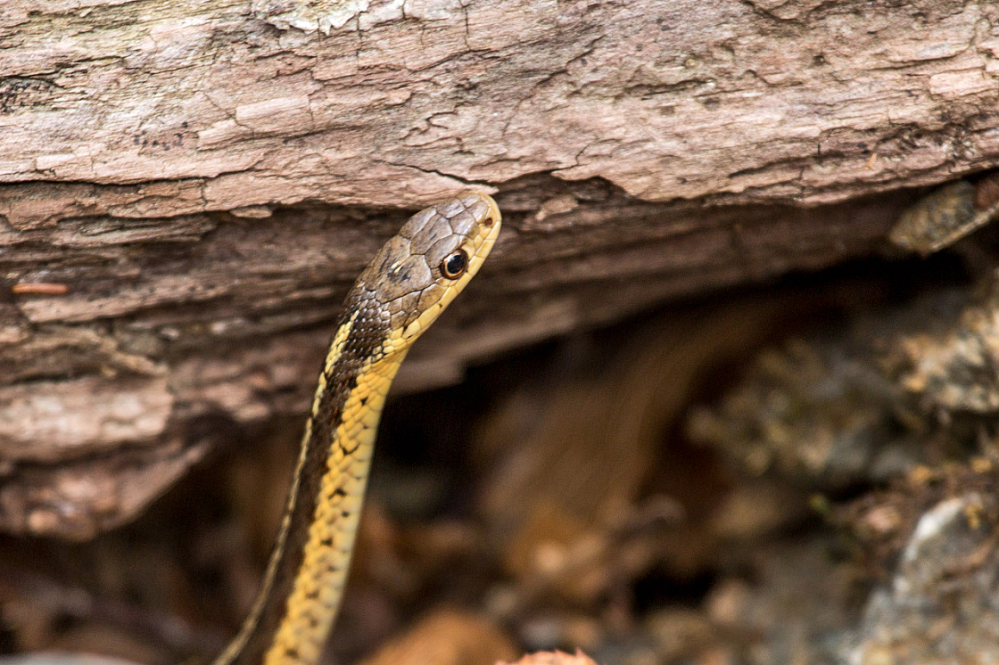 20150502121615 90576