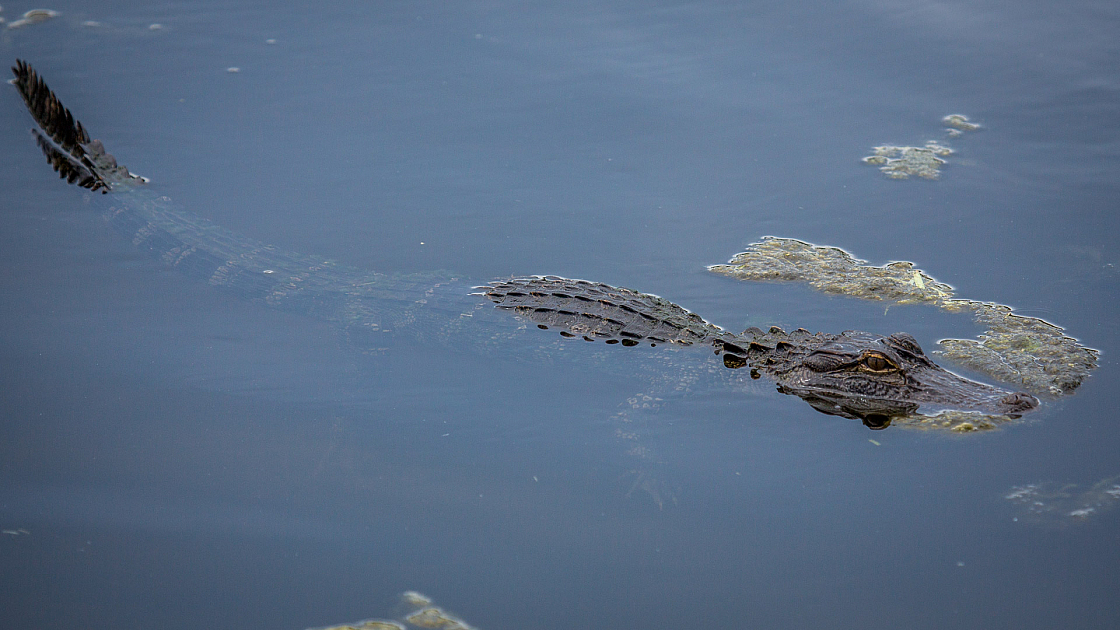 20160820143452 107443