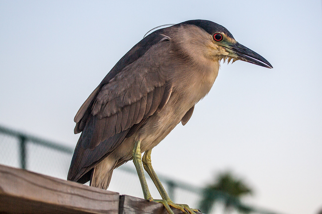 20160818070455 107267