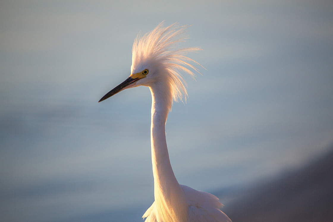 20160818072449 107276