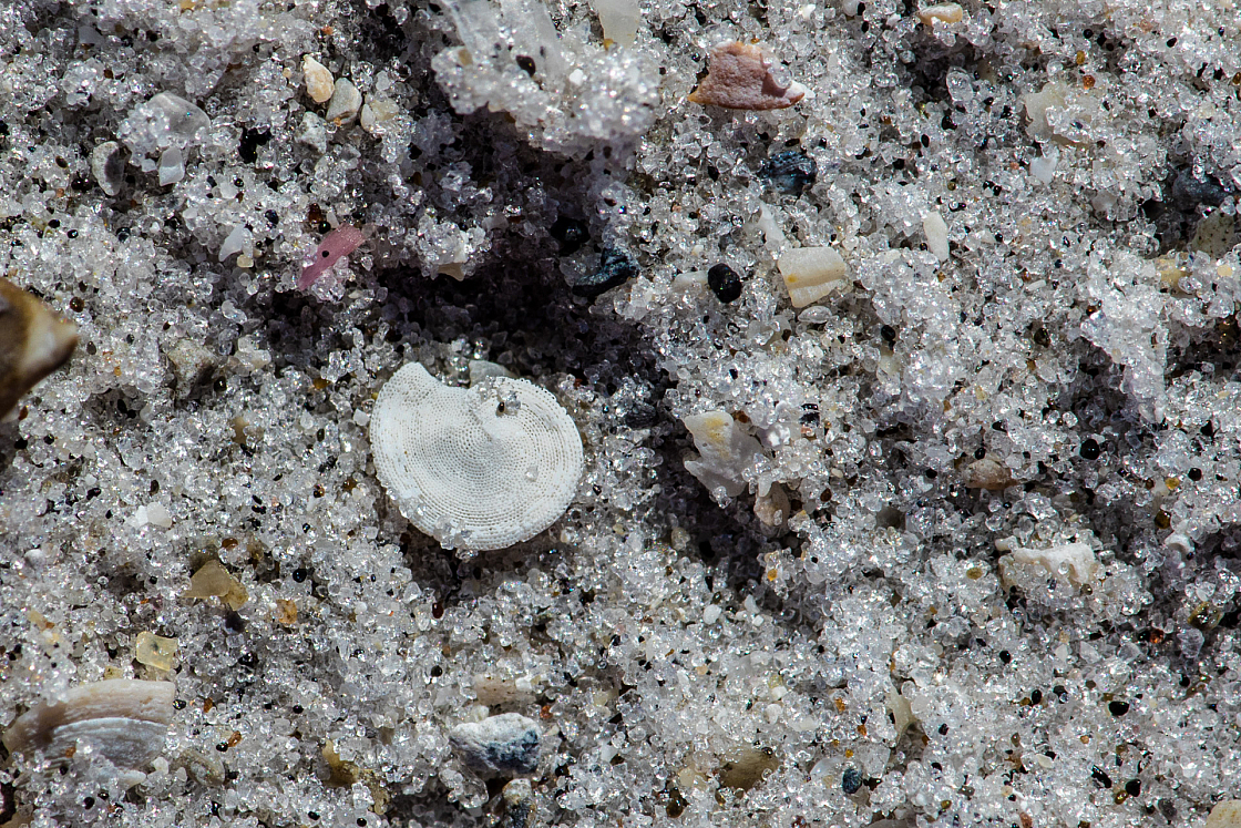 20160811103811 016816