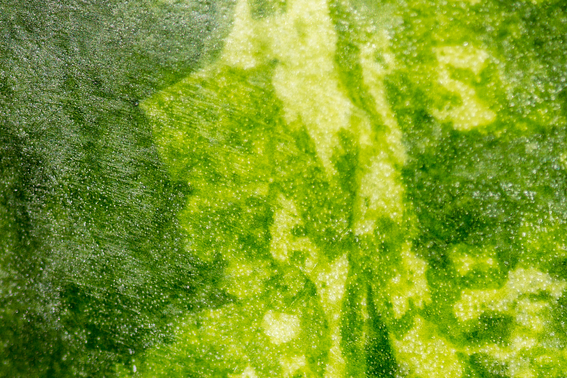 20160811114150 016881