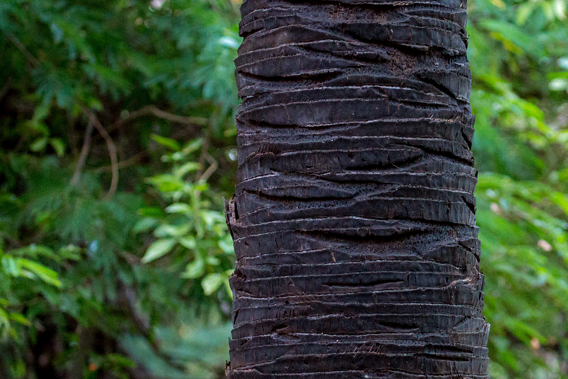 20160118175439 105762