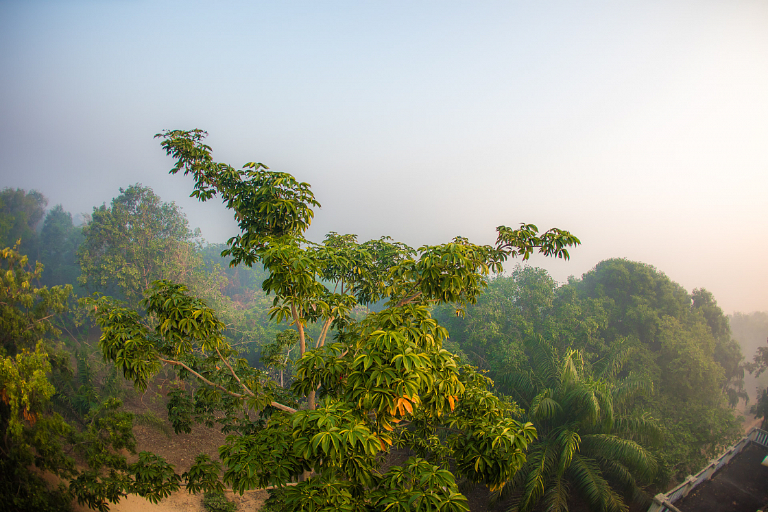 20160114072055 012391