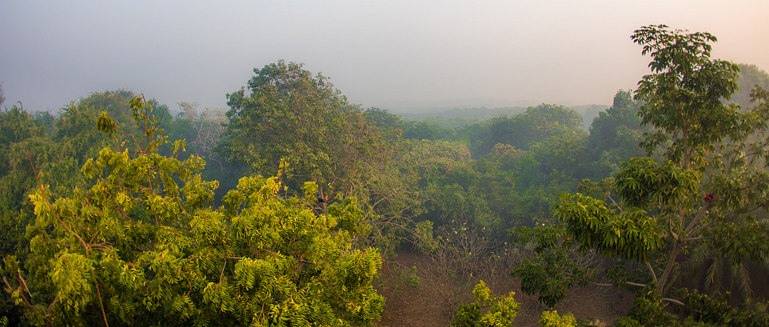 20160114072114 012394