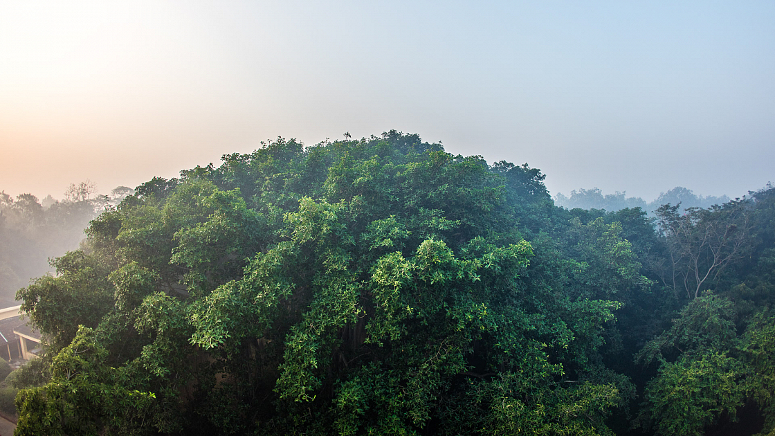 20160114072244 012440