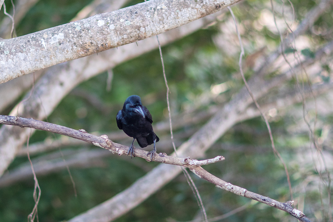 20160114093127 012569