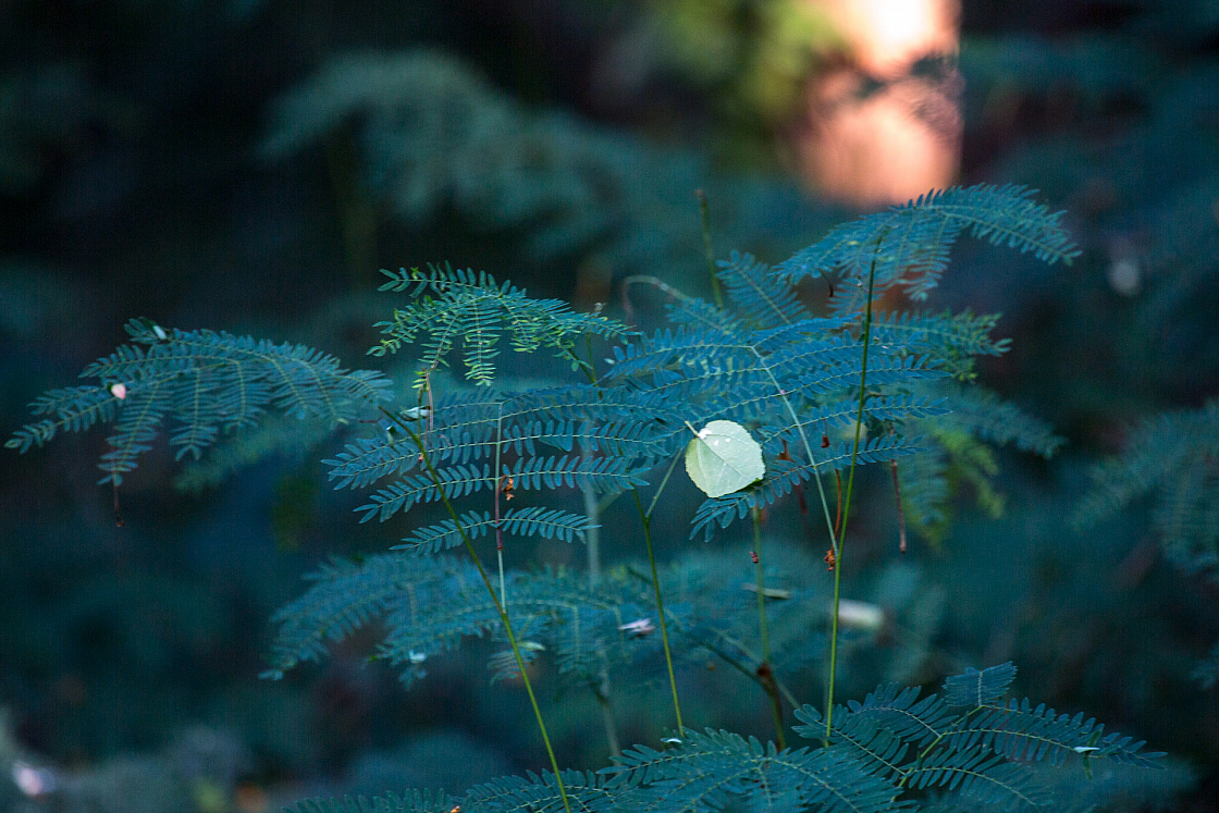 20160114161715 104903