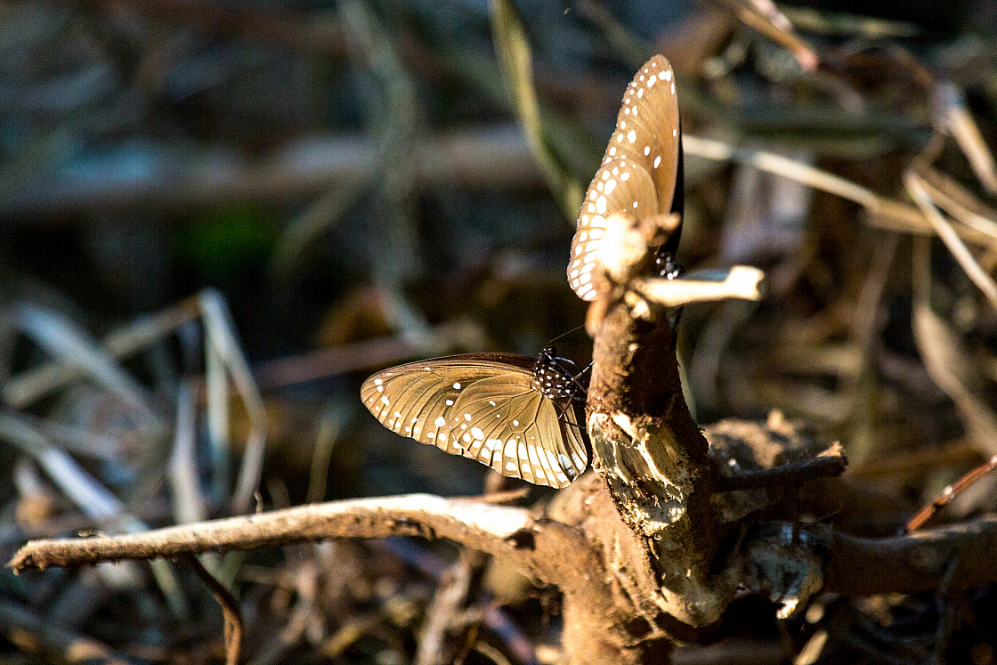 20160114162004 104939