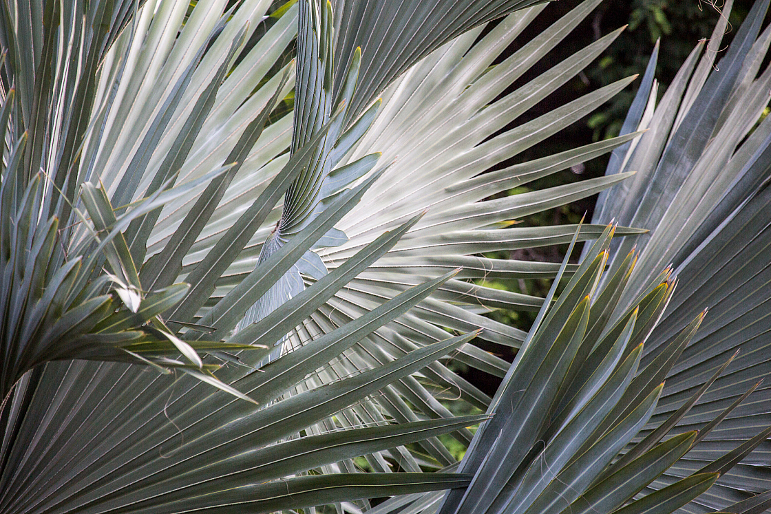 20160114162301 104985