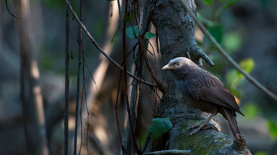 20160114162428 104994